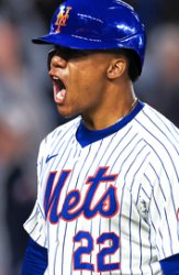 Juan Soto Meme Template