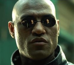 Advice Animals - Morpheus Meme Template