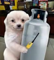 Perro con tanque de gas Meme Template