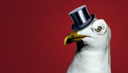 Posh Seagull Meme Template