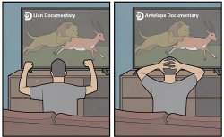 Antelope Documentary Meme Template