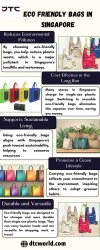 Eco Friendly Bags In Singapore Meme Template