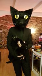 Black cat surprised by owner's costume Meme Template