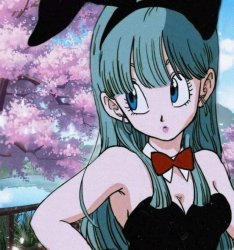 bulma bunny cute Meme Template