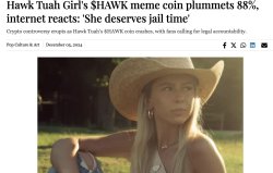 Hawk Tuah Crypto crash Porn Hub Meme Template