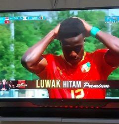 luwak hitam premium Meme Template
