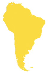 South america yellow Meme Template