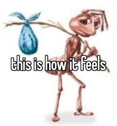 this is how it feels Meme Template
