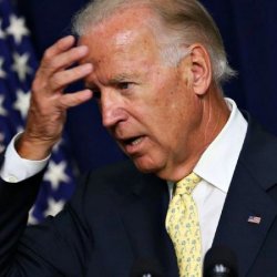 Begging Biden's Pardon Meme Template