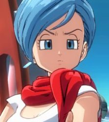 bulma not happy Meme Template