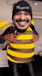 Dancing Bee Guy Meme Template