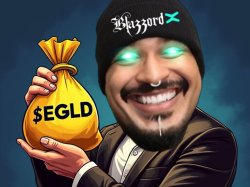 EGLD MONEY BAG Meme Template