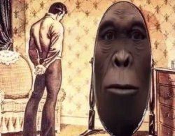 singe ape Meme Template