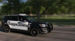 police car Meme Template