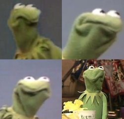 Kermit's weird day Meme Template