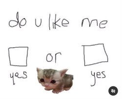 Do you like me Meme Template