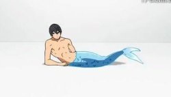 haru merman Meme Template