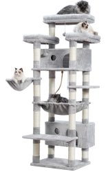 Cat tree Meme Template