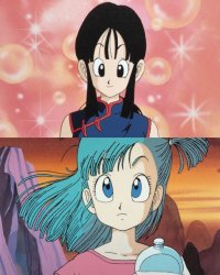 chichi and bulma Meme Template