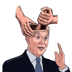 JOE BIDEN top of head 2 Meme Template