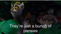 king Julien pansies madagascar Meme Template