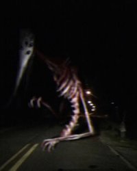God Of Roadkill Meme Template