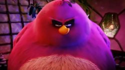 Angry Birds Terence Meme Template