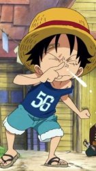 kid luffy Meme Template