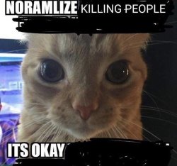 normalize killing people its okay cat Meme Template