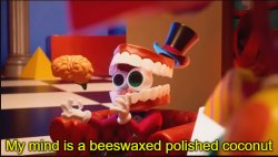 MY MIND IS A BEESWAXED POLISHED COCONUT Meme Template