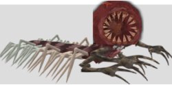 Meat centipendes Meme Template