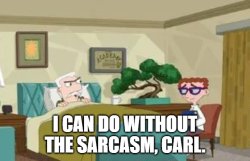 I can do without the sarcasm, Carl Meme Template