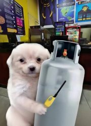 Perro con tanque de gas Meme Template