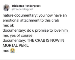 Nature documentary Meme Template