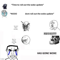 woke update Meme Template