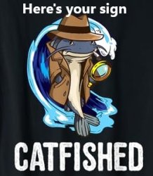 Here's your sign Catfished Meme Template