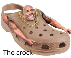 the crock Meme Template