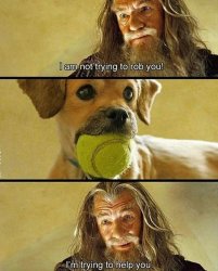 Gandalf with dog Meme Template