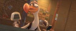 rockey bird Meme Template