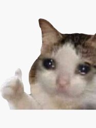 Sad cat thumbs up Meme Template