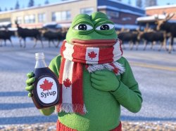 Canadian Pepe Meme Template