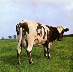 Pink Floyd Cow Meme Template