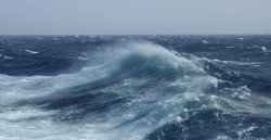 Waves. Meme Template