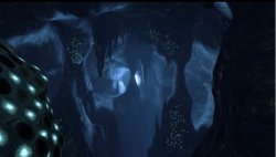 Antilion nest Meme Template