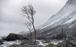 Grotfjord - Norway, 2024. (2/3) Meme Template