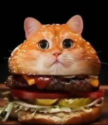 Burger Cat Meme Template