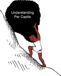 Understanding per capita Meme Template