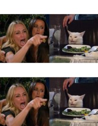 women yelling cat (dual) Meme Template