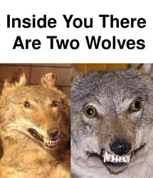 Inside you there are two derp wolves Meme Template