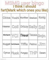 MSMG user bingo Meme Template